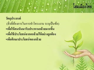 วัตถุประสงค์
(สิ่งที่ต้องการในการทาโครงงาน ระบุเป็นข้อ)
•เพื่อให้คนหันมารับประทานกล้วยมากขึ้น
•เพื่อใช้ประโยชน์จากกกล้วยได้อย่างถูกต้อง
•เพือศึกษาประโยชน์ของกล้วย
 