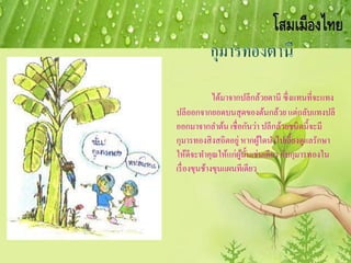 ได้มาจากปลีกล้วยตานี ซึ่งแทนที่จะแทง
ปลีออกจากยอดบนสุดของต้นกล้วย แต่กลับแทงปลี
ออกมาจากลาต้น เชื่อกันว่า ปลีกล้วยชนิดนี้จะมี
กุมารทองสิงสถิตอยู่หากผู้ใดนาไปเลี้ยงดูแลรักษา
ให้ดีจะทาคุณให้แก่ผู้นั้นเช่นเดียว กับกุมารทองใน
เรื่องขุนช้างขุนแผนทีเดียว
 