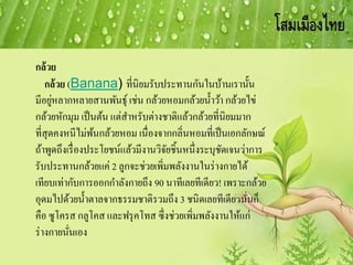กล้วย
กล้วย (Banana) ที่นิยมรับประทานกันในบ้านเรานั้น
มีอยู่หลากหลายสานพันธุ์ เช่น กล้วยหอมกล้วยน้าว้า กล้วยไข่
กล้วยหักมุม เป็นต้น แต่สาหรับต่างชาติแล้วกล้วยที่นิยมมาก
ที่สุดคงหนีไม่พ้นกล้วยหอม เนื่องจากกลิ่นหอมที่เป็นเอกลักษณ์
ถ้าพูดถึงเรื่องประโยชน์แล้วมีงานวิจัยชิ้นหนึ่งระบุชัดเจนว่าการ
รับประทานกล้วยแค่ 2 ลูกจะช่วยเพิ่มพลังงานในร่างกายได้
เทียบเท่ากับการออกกาลังกายถึง 90 นาทีเลยทีเดียว! เพราะกล้วย
อุดมไปด้วยน้าตาลจากธรรมชาติรวมถึง 3 ชนิดเลยทีเดียวนั่นก็
คือ ซูโครส กลูโคส และฟรุคโทส ซึ่งช่วยเพิ่มพลังงานให้แก่
ร่างกายนั่นเอง
 