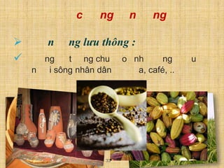 25Hiện nayThựctrạngvậndụng