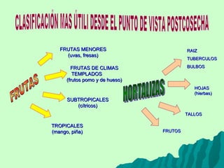 CLASIFICACIÓN MAS ÚTILI DESDE EL PUNTO DE VISTA POSTCOSECHA FRUTAS SUBTROPICALES (cítricos) FRUTAS DE CLIMAS TEMPLADOS  (frutos pomo y de hueso) FRUTAS MENORES (uvas, fresas) TROPICALES (mango, piña) HORTALIZAS RAIZ  TUBERCULOS BULBOS TALLOS HOJAS (hierbas) FRUTOS 