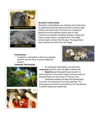Mutualistic Relationships
Mutualistic relationships occur between some birds (such
as oxpeckers) and large herbivores (such as zebra, Cape
buffalo, and rhinoceros). The herbivore is cleaned of
parasites and the oxpecker gains access to food.
Lichens are an obligate mutualism between a fungus and
either a green alga or a cynobacterium. The fungus
obtains organic carbon from the alga. The alga obtains
water and nutrient salts from the fungus.

Commensalism
• A symbiotic relationship in which one organism
benefits and the other is neither helped nor
harmed
Commensal Relationships
‣ In commensal relationships, one party (the
commensal) benefits, while the host is unaffected.
• Epiphytes (perching plants) gain access to a
better position in the forest canopy, with more light for
photosynthesis, but do no harm to the host tree.
• Commensal anemone shrimps (Periclimenes spp.)
live within the tentacles of host sea anemones. The
shrimp gains protection from predators, but the anemone
is neither harmed nor benefitted.

 