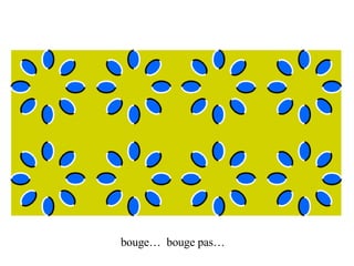 bouge…  bouge pas… 