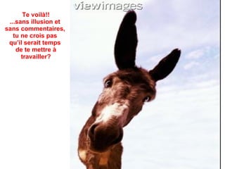 Te voilà!! ...sans illusion et  sans commentaires,  tu ne crois pas  qu’il serait temps  de te mettre à travailler? 