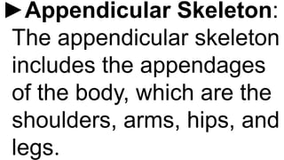 ►Appendicular Skeleton:
The appendicular skeleton
includes the appendages
of the body, which are the
shoulders, arms, hips, and
legs.
 