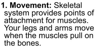 1. Movement: Skeletal
system provides points of
attachment for muscles.
Your legs and arms move
when the muscles pull on
the bones.
 