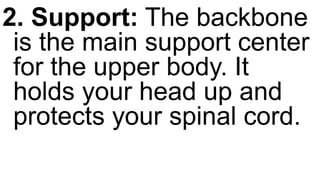 2. Support: The backbone
is the main support center
for the upper body. It
holds your head up and
protects your spinal cord.
 
