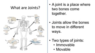 What are Joints?
• A joint is a place where
two bones come
together.
• Joints allow the bones
to move in different
ways.
• Two types of joints:
• Immovable
• Movable
 