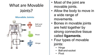 What are Movable
Joints?
• Most of the joint are
movable joints.
• Allow the body to move in
a wide range of
movements.
• Bones in movable joints
are held together by
strong connective tissue
called ligaments.
• Four types of movable
joints:
• Hinge
• Ball-and-socket
• Pivot
 