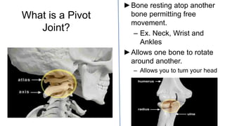 What is a Pivot
Joint?
►Bone resting atop another
bone permitting free
movement.
– Ex. Neck, Wrist and
Ankles
►Allows one bone to rotate
around another.
– Allows you to turn your head
 