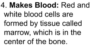 4. Makes Blood: Red and
white blood cells are
formed by tissue called
marrow, which is in the
center of the bone.
 