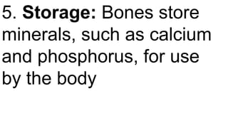 5. Storage: Bones store
minerals, such as calcium
and phosphorus, for use
by the body
 