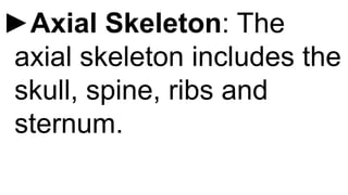 ►Axial Skeleton: The
axial skeleton includes the
skull, spine, ribs and
sternum.
 