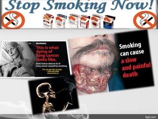 Anti  smoking 