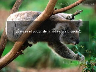 ¡Éste es el poder de la vida sin violencia!.
 