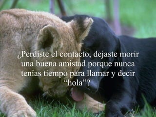 ¿Perdiste el contacto, dejaste morir una buena amistad porque nunca tenías tiempo para llamar y decir “hola”?   