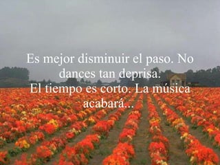 Es mejor disminuir el paso. No dances tan deprisa. El tiempo es corto. La música acabará...   