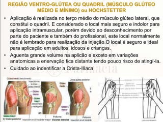 REGIÃO VENTRO-GLÚTEA OU QUADRIL (MÚSCULO GLÚTEO
MÉDIO E MÍNIMO) ou HOCHSTETTER
• Aplicação é realizada no terço médio do músculo glúteo lateral, que
constitui o quadril. E considerado o local mais seguro e indolor para
aplicação intramuscular, porém devido ao desconhecimento por
parte do paciente e também do profissional, este local normalmente
não é lembrado para realização da injeção.O local é seguro e ideal
para aplicação em adultos, idosos e crianças.
• Aguenta grande volume na aplicão e exceto em variações
anatomicas a enervação fica distante tendo pouco risco de atingí-la.
• Cuidado ao indentificar a Crista-Ilíaca
 