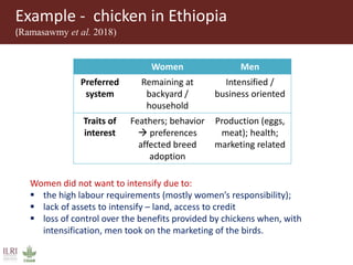Integrating gender considerations into livestock genetic improvement programs in low to middle income countries