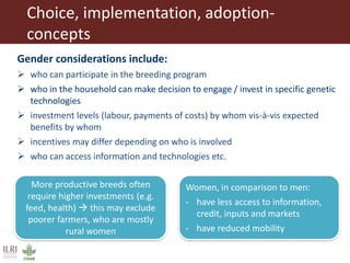 Integrating gender considerations into livestock genetic improvement programs in low to middle income countries