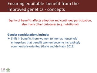 Integrating gender considerations into livestock genetic improvement programs in low to middle income countries