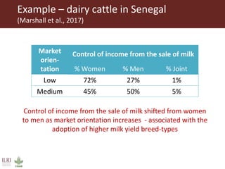 Integrating gender considerations into livestock genetic improvement programs in low to middle income countries