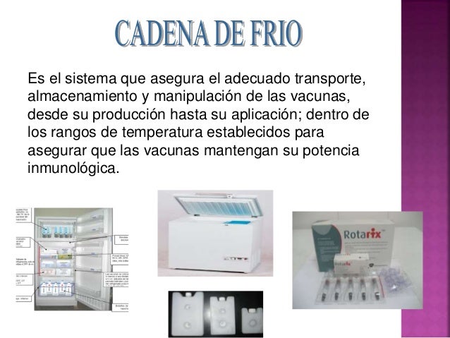 Aaa cadena de frio internado