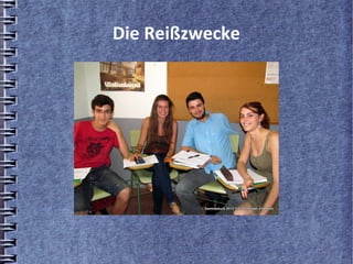 Die Reißzwecke
 