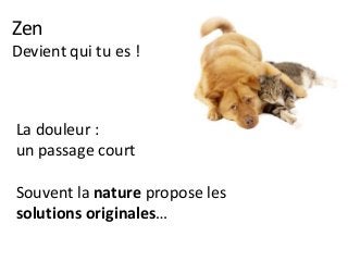 Zen
Devient qui tu es !
La douleur :
un passage court
Souvent la nature propose les
solutions originales…
 