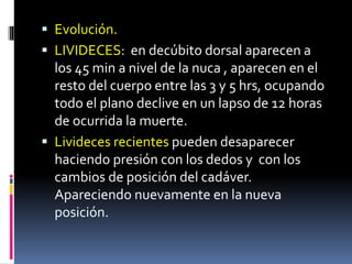  Evolución.
 LIVIDECES: en decúbito dorsal aparecen a
los 45 min a nivel de la nuca , aparecen en el
resto del cuerpo entre las 3 y 5 hrs, ocupando
todo el plano declive en un lapso de 12 horas
de ocurrida la muerte.
 Livideces recientes pueden desaparecer
haciendo presión con los dedos y con los
cambios de posición del cadáver.
Apareciendo nuevamente en la nueva
posición.
 