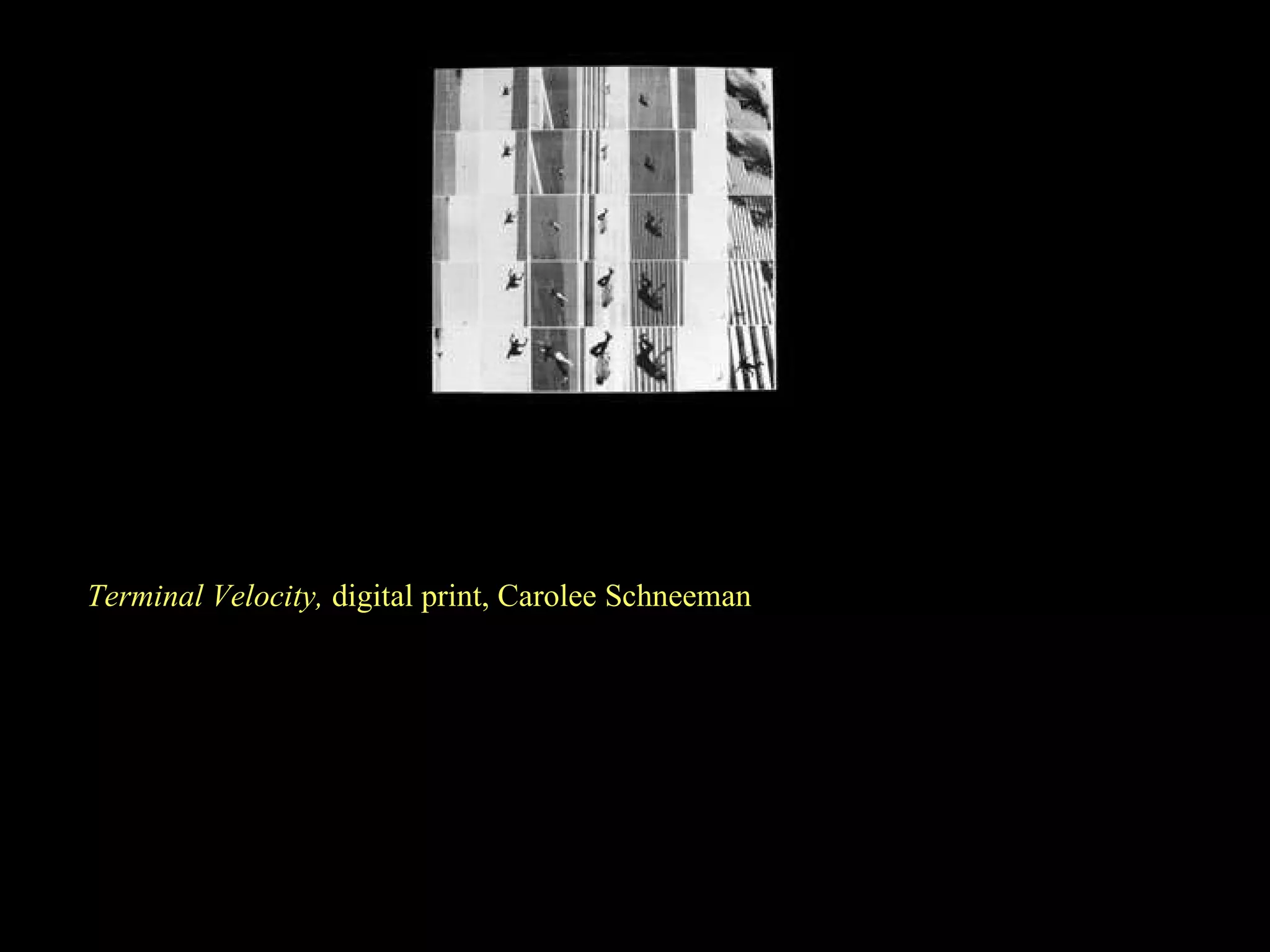 Terminal Velocity,  digital print, Carolee Schneeman 