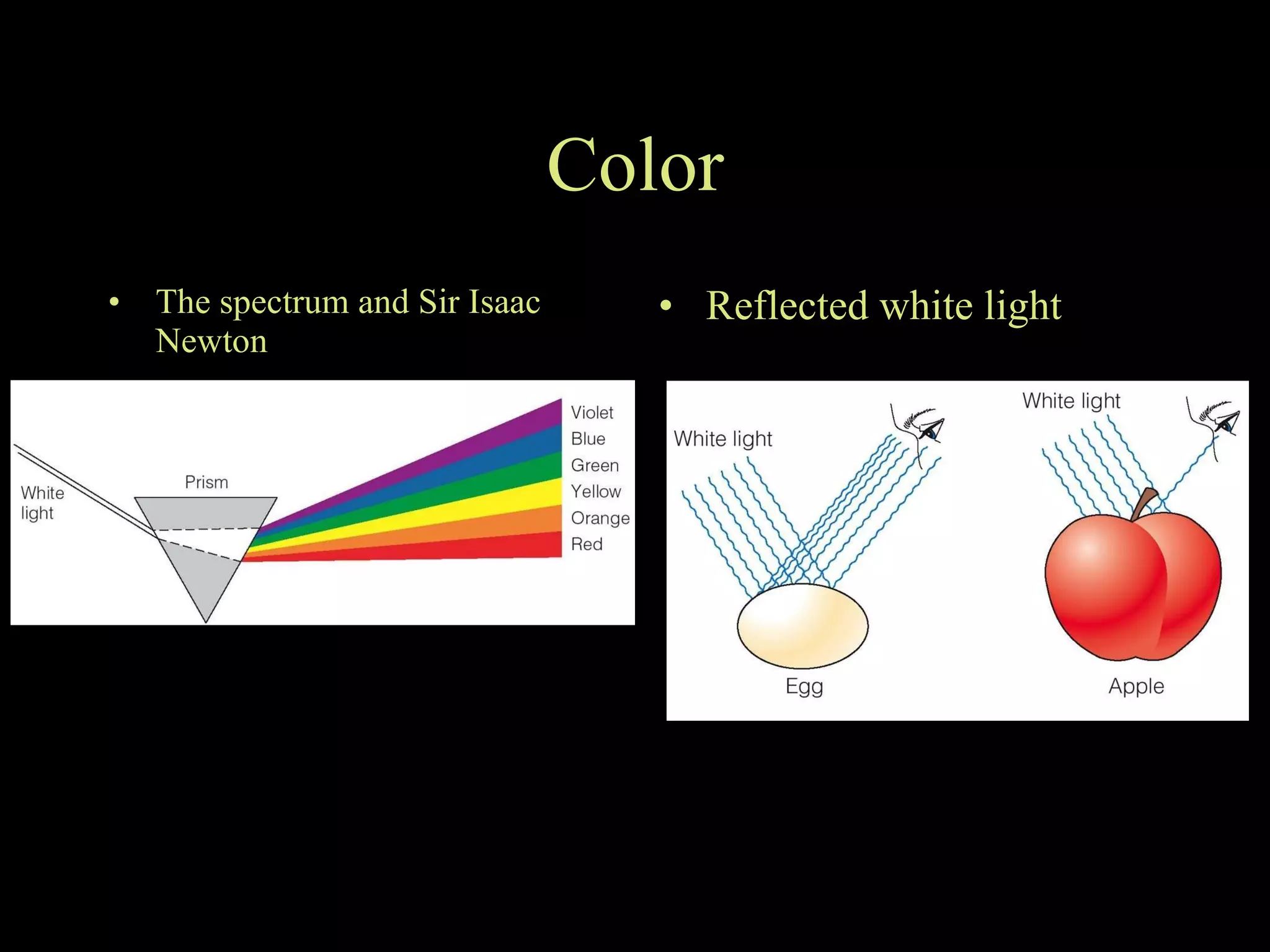 Color The spectrum and Sir Isaac Newton Reflected white light 