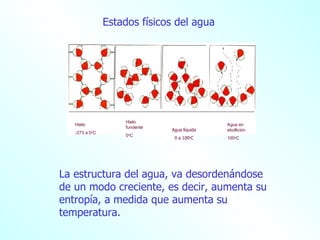 La estructura del agua, va desordenándose de un modo creciente, es decir, aumenta su entropía, a medida que aumenta su temperatura. Hielo -273 a 0 o C Hielo fundente 0 o C Agua líquida 0 a 100 o C Agua en ebullición  100 o C Estados físicos del agua 
