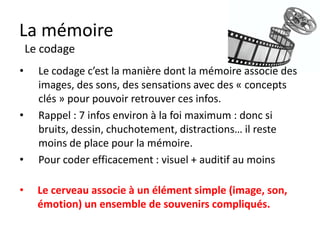 La mémoire
    Le codage

•     Le codage c’est la manière dont la mémoire associe des
      images, des sons, des sensations avec des « concepts
      clés » pour pouvoir retrouver ces infos.
•     Rappel : 7 infos à la foi maximum : donc si bruits,
      dessin, chuchotement, distractions… il reste moins de
      place pour la mémoire.
•     Pour coder efficacement : visuel + auditif

•     Le cerveau associe à un élément simple (image, son,
      émotion) un ensemble de souvenirs compliqués.
 