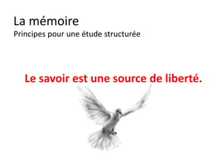 La mémoire
La feuille blanche & le dessin

  1. DESSINER sur la feuille blanche ce qui reste en mémoire

  2. Comparer avec l’original

  3. Compléter

  4. Essayer à nouveau plus tard

                                         http://fleso.wordpress.com/category/grammaire-et-vocabulaire/




  CRÉER DES IMAGES AIDE A MEMORISER
 
