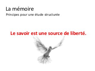 La mémoire
Principes pour une étude structurée




   Le savoir est une source de liberté.
 
