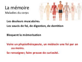 La mémoire
Maladies du corps

 Les douleurs musculaires
 Les soucis de foi, de digestion, de dentition

 Bloquent la mémorisation

 Voire un physiothérapeute, un médecin une foi par an
     au moins.
 Se renseigner, faire preuve de curiosité.
 
