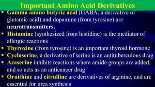 Comprehensive Overview of Amino Acids and Proteins in Biochemistry | PDF