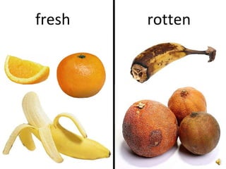 Fresh Outside Rotten Inside Aaaoppositesbasic | PPT