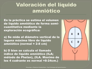 Phelan Normal AAAA patologia de liquido amniotico.pptx