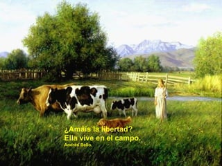 ¿Amáis la libertad?
Ella vive en el campo.
Andrés Bello.
 