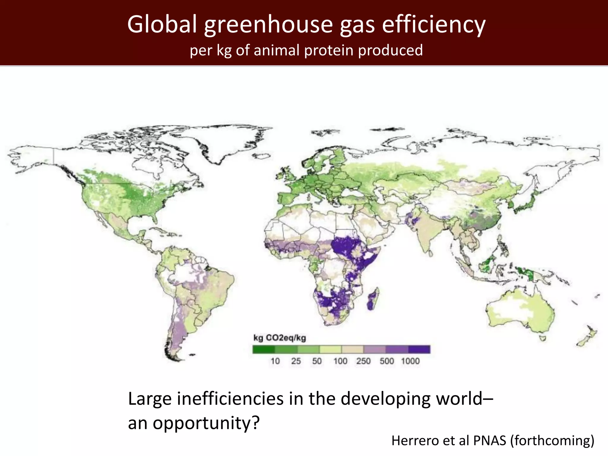 Global greenhouse gas efficiency
       per kg of animal protein produced




Large inefficiencies in the developing world–
an opportunity?
                                   Herrero et al PNAS (forthcoming)
 