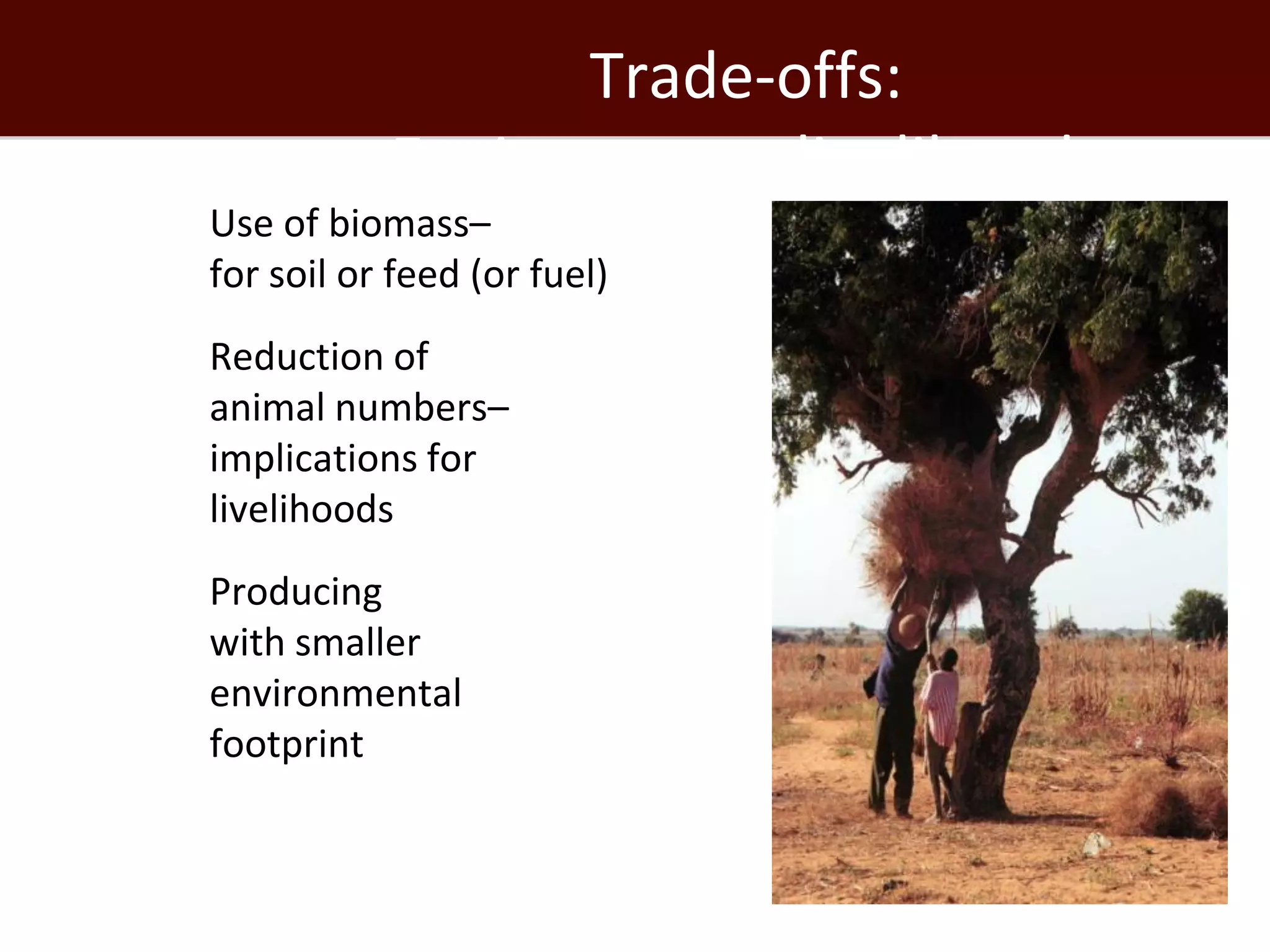 Trade-offs:
               Environment−livelihoods
   Use of biomass–
    for soil or feed (or fuel)
   Reduction of
    animal numbers–
    implications for
    livelihoods
   Producing
    with smaller
    environmental
    footprint
 