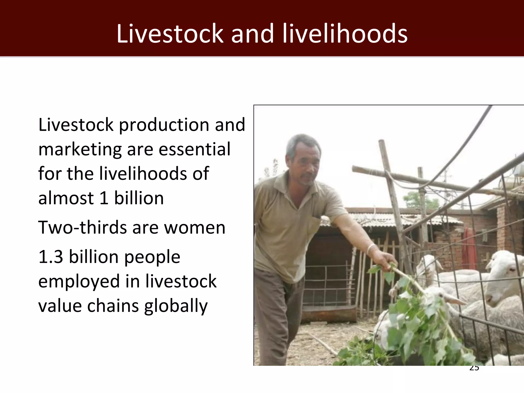 Livestock and livelihoods


 Livestock production and
  marketing are essential
  for the livelihoods of
  almost 1 billion
 Two-thirds are women
 1.3 billion people
  employed in livestock
  value chains globally

                                       25
 