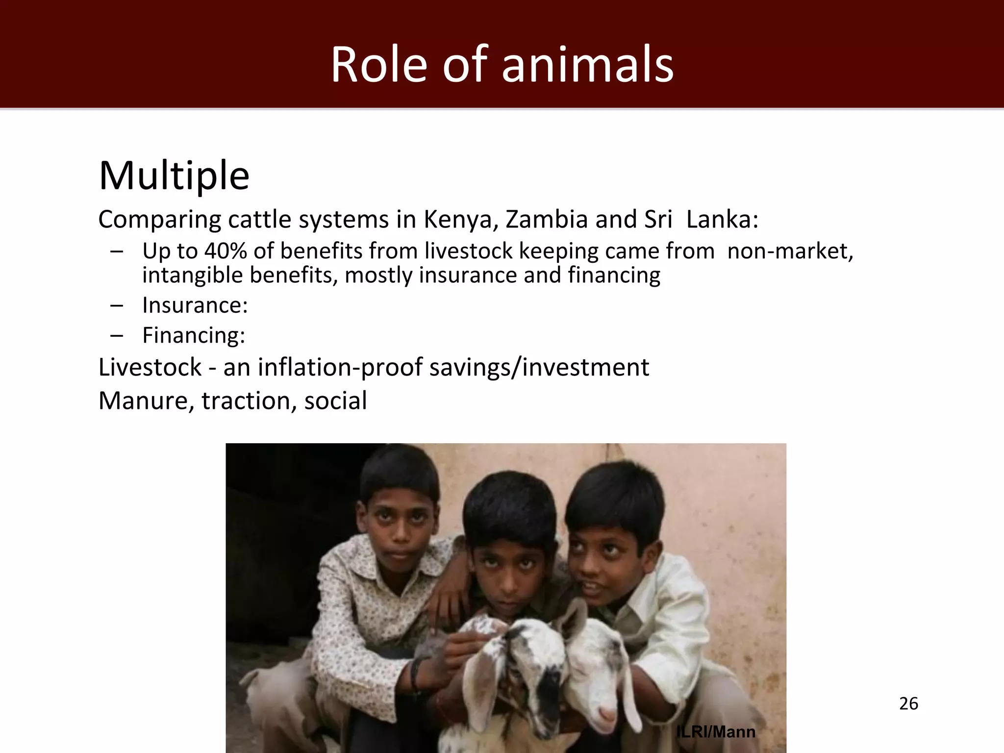 Role of animals
Multiple
 Comparing cattle systems in Kenya, Zambia and Sri Lanka:
    – Up to 40% of benefits from livestock keeping came from non-market,
      intangible benefits, mostly insurance and financing
    – Insurance:
    – Financing:
 Livestock - an inflation-proof savings/investment
 Manure, traction, social




                                                                           26
                                                       ILRI/Mann
 