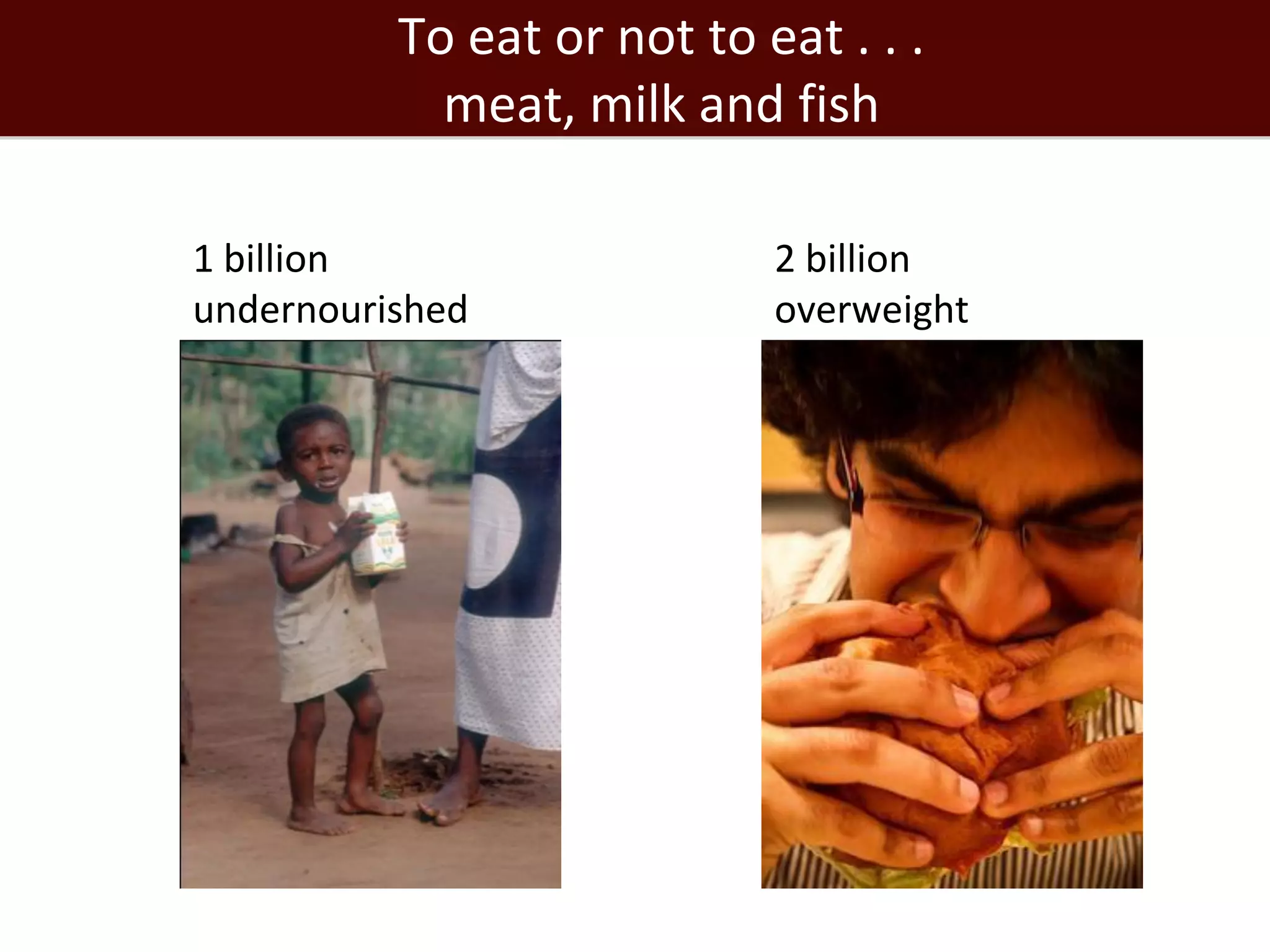To eat or not to eat . . .
            meat, milk and fish

1 billion                   2 billion
undernourished              overweight
 