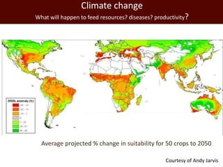 The global livestock agenda: Opportunities and challenges  