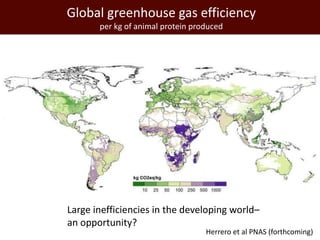 The global livestock agenda: Opportunities and challenges  
