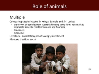 The global livestock agenda: Opportunities and challenges  