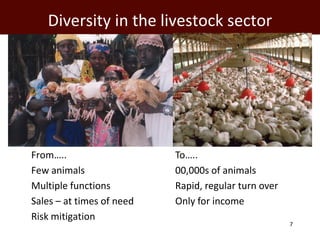 Diversity in the livestock sector




   From…..                       To…..
   Few animals                   00,000s ...